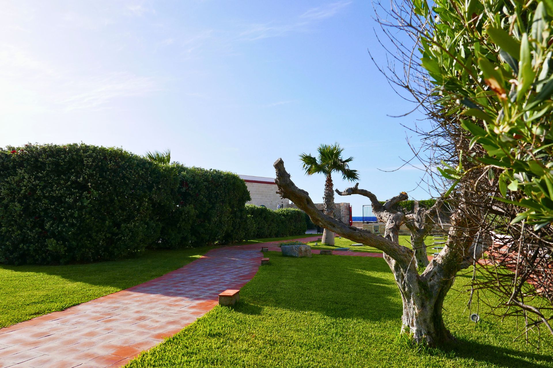 sposarsi a Favignana ricevimento matrimonio wedding